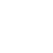 LEMANS LEMANS
