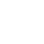 PALIDO