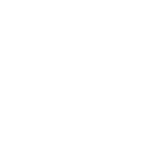 bruno bruno