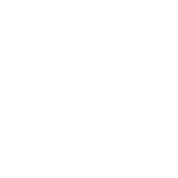 citizen